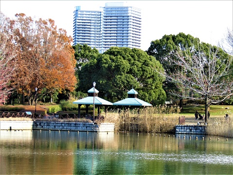 Kashiwa-no-ha Park, Chiba, Japan - December 15 2019: This is one of the largest and beautiful parks in Big Tokyo area. Nice combination of traditional and modern styles, and nature.