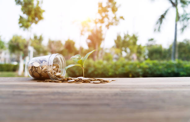 istock Background of plant growing from coins 1194029159