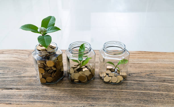 istock Green plants growing from the glass jars 1194029206