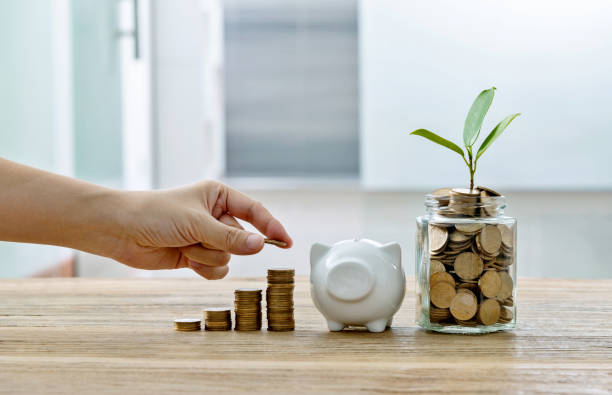 istock Human hand putting coin on coin stairs 1194030431