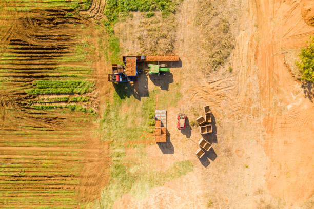 istock Carrot picker discharge station, Aerial view 1194033356