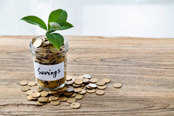 istock Plant growing from glass jar with word SAVINGS 1194035892