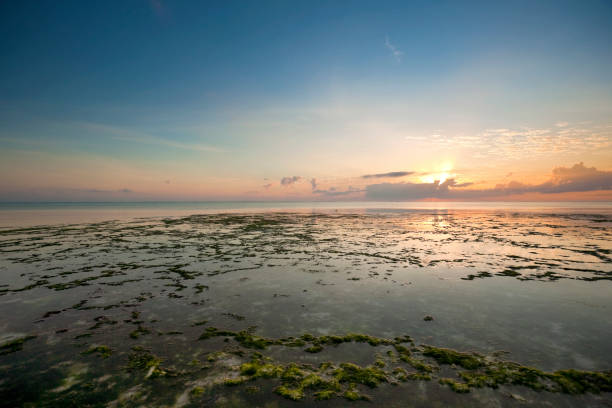 Indian Ocean off the coast of Zanzibar