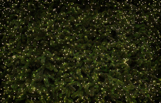 istock decoration christmass tree with mini light on green bush 1194046921