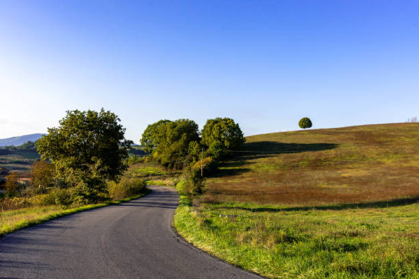 istock An empty road in Tuscany 1194047034