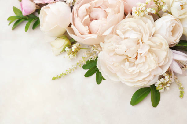 istock Summer blossoming delicate rose blooming flowers festive background 1194048708