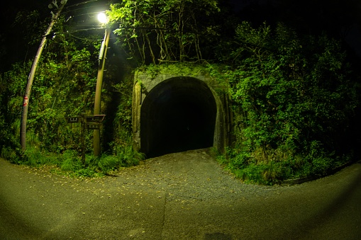 Dark and creepy tunnel surrounded by some vegetation.