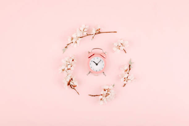 istock Minimalistic  Flat lay, top view composition with pink alarm clock and blossom cherry flower branch on pink background. Trendy minimal style. 1194050139