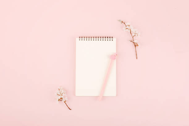 istock Minimalistic card mockup with empty open white notebook, blossom cherry flower branch on pink  background. Flat lay, top view, copy space 1194050144