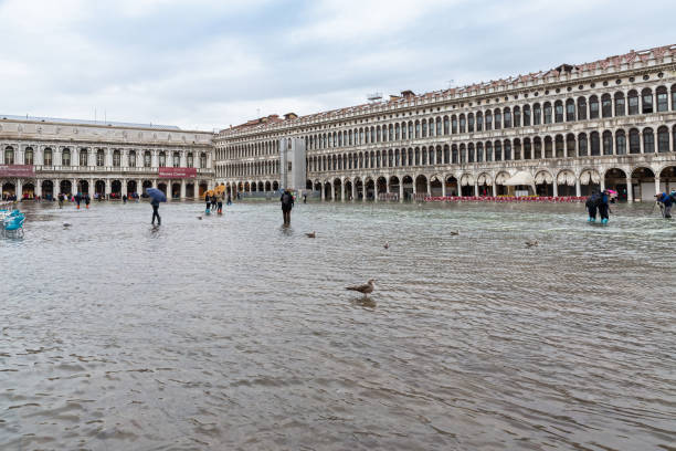 powódź, acqua alta, na placu świętego marka, wenecja - acqua alta zdjęcia i obrazy z banku zdjęć