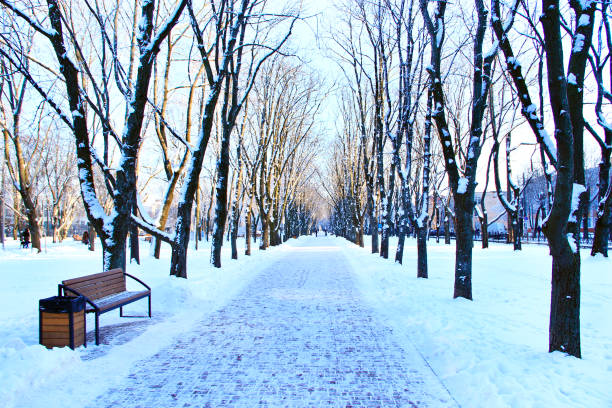 istock Beautiful park with promenade path and trees covered by snow. Empty city park 1194051681