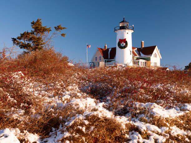 istock Lighthouse on the Hill Covered with Wild Plants in Snow 1194055107