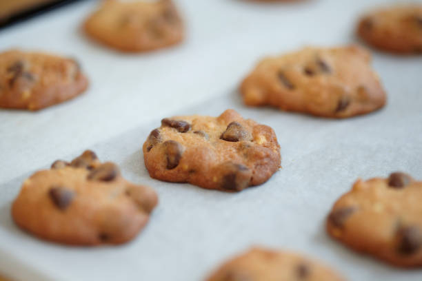 istock Freshly Made Cookies In Kitchen 1194056425