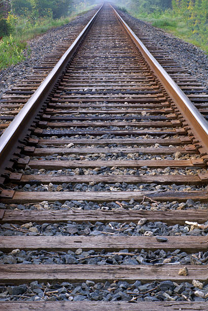 istock Railroad Tracks Running to the Horizon 119405734
