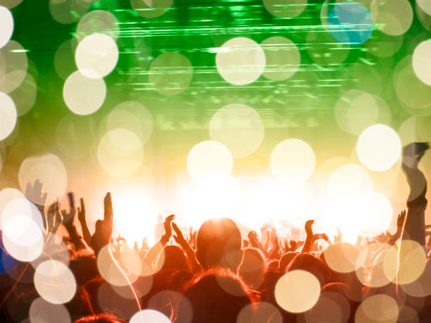 istock Concert crowd in front of a live stage 1194060598