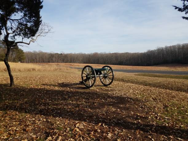 istock old cannon on brown grass with leaves and road 1194060734