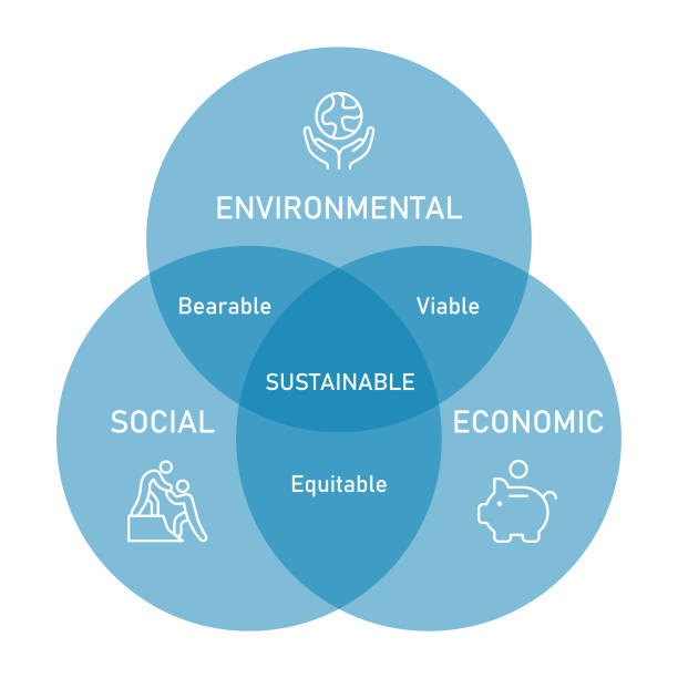 Sustainability Venn diagram, including social, economic and environmental sustainability subtypes Sustainability Venn diagram, including social, economic and environmental sustainability subtypes equity vs equality stock illustrations