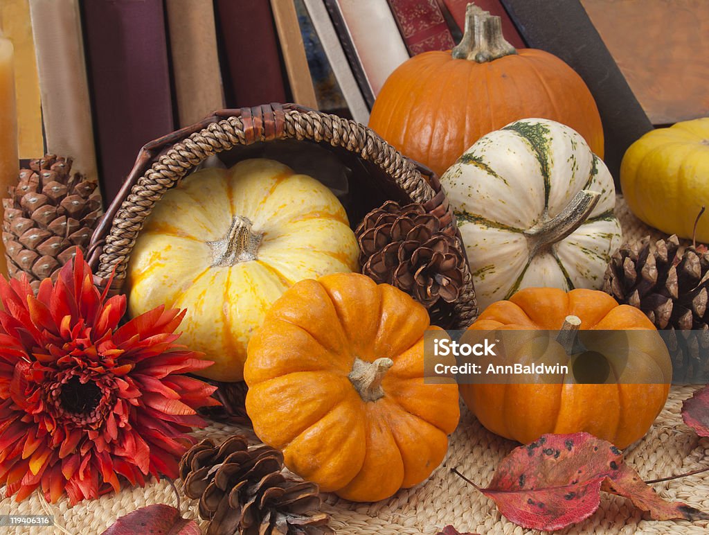 Still life of ornamental pumpkins and cones for Thanksgiving  Autumn Stock Photo