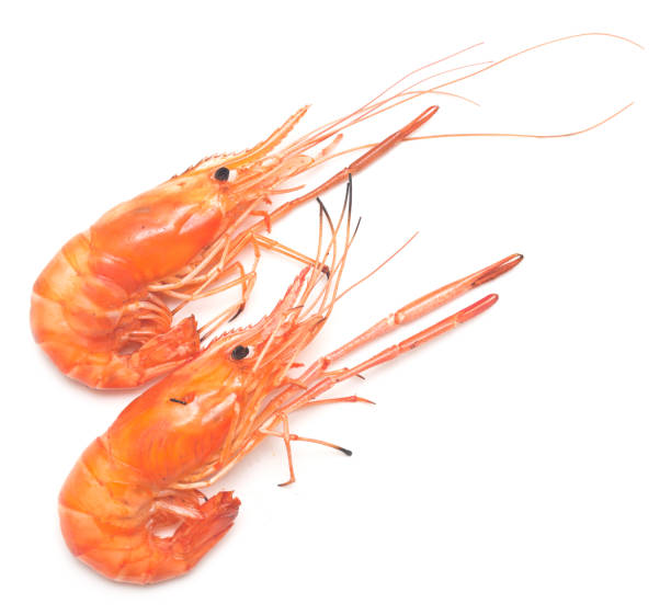 gegrillte garnelen - prepared shrimp prawn large grilled stock-fotos und bilder