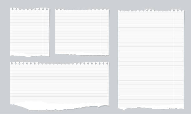 Pieces of torn white lined notebook paper on gray background Pieces of torn white lined notebook paper on gray background. ruled paper stock illustrations
