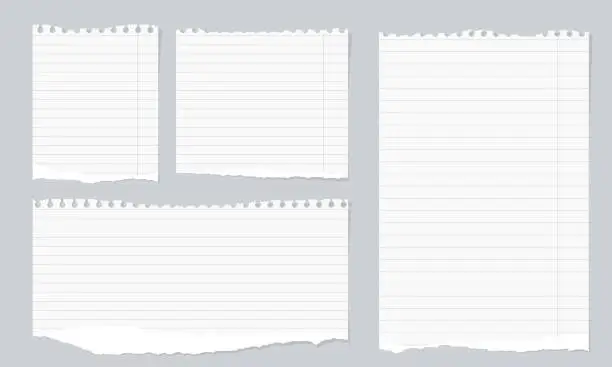 Vector illustration of Pieces of torn white lined notebook paper on gray background