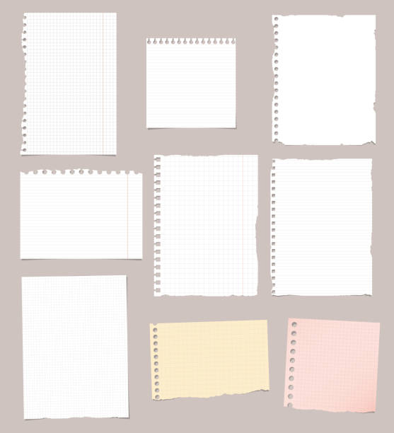 Set of ripped white, brown and pink ruled, math notebook paper sheets. Set of ripped white, brown and pink ruled, math notebook paper are stuck on brown background. ruled stock illustrations