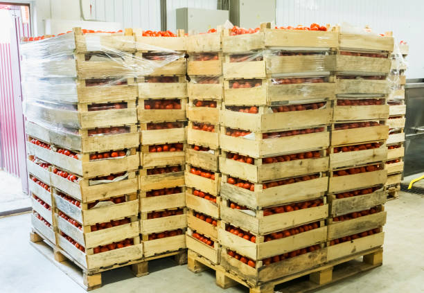 istock Many boxes with red in the recycling workshop 1194071203