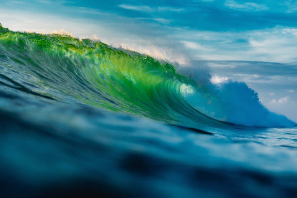 perfect barrel wave in ocean. breaking green wave with sun light - tide sea breaking water imagens e fotografias de stock