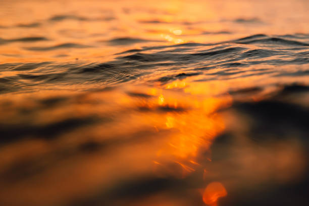 istock Sunset and waves in ocean. Warm water texture with bokeh 1194071325
