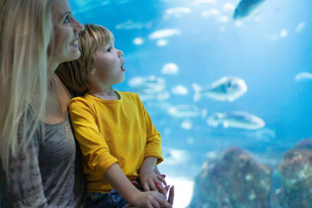 istock Mother and son in public aquarium 1194071519