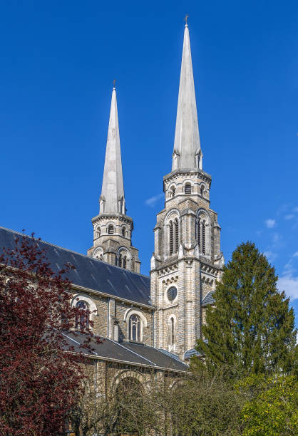 basílica do sagrado coração, bourg-en-bresse, frança - bresse - fotografias e filmes do acervo