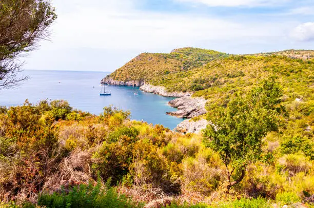 Scenic landscape view from the overgrown rocky mountains of Cilento and Vallo di Diano National Park in Campania region in Italy on hidden Cala Bianca beach surrounded by rocks in Tyrrhenian sea