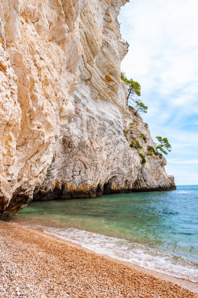 istock Beautiful pebble beach surrounded by high massive white limestone rocky cliffs eroded by Adriatic sea waves and wind. Green Aleppo pines growing on the rocks. Emerald water washing the coastline 1194074281