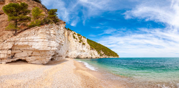 istock Beautiful pebble beach surrounded by high massive white limestone rocky cliffs eroded by Adriatic sea waves and wind. Green Aleppo pines growing on the rocks. Emerald water washing the coastline 1194074286