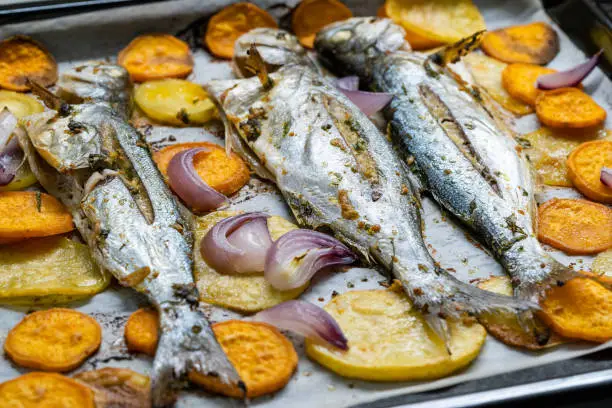 Baked Fish Bluefish with Sweet Potatoes on Oven Tray with Baking Paper Sheet / Lufer. Seafood.