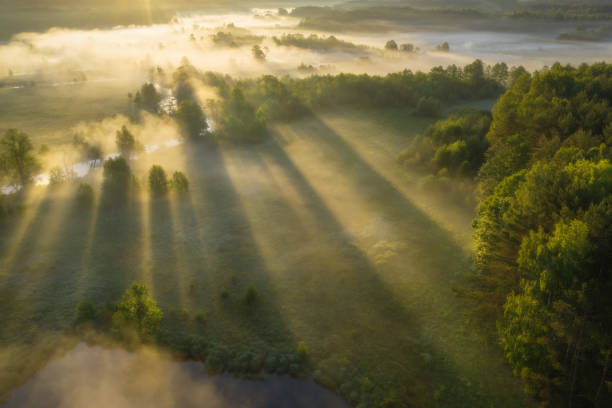 istock Bright sun rays through trees on misty meadow near river. Scenic spring landscape. Beautiful vivid sunbeams in morning 1194076010