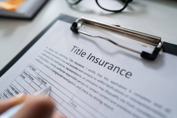 istock Woman Filling Title Insurance Form 1194077062