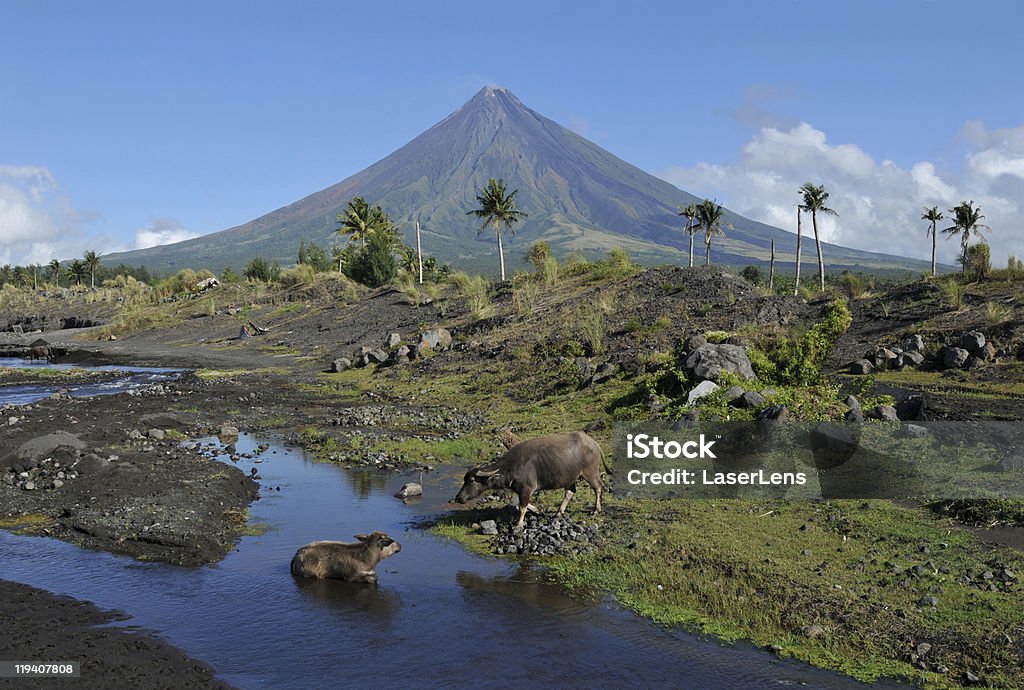 Volcán Mayon - Foto de stock de Monte Mayon libre de derechos