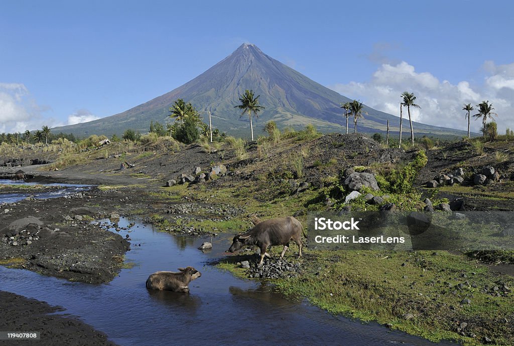 Mayon 볼케이노 - 로열티 프리 마욘 산 스톡 사진