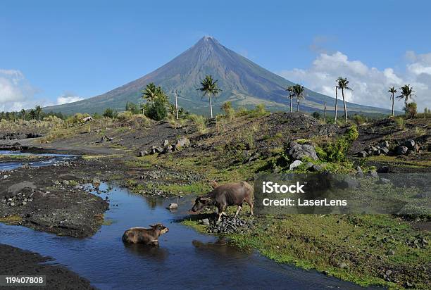 Mayon 볼케이노 마욘 산에 대한 스톡 사진 및 기타 이미지 - 마욘 산, 0명, 가축형 물소
