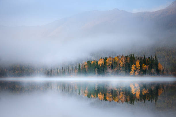 istock Autumn in Kanas, Xinjiang, China 1194080281