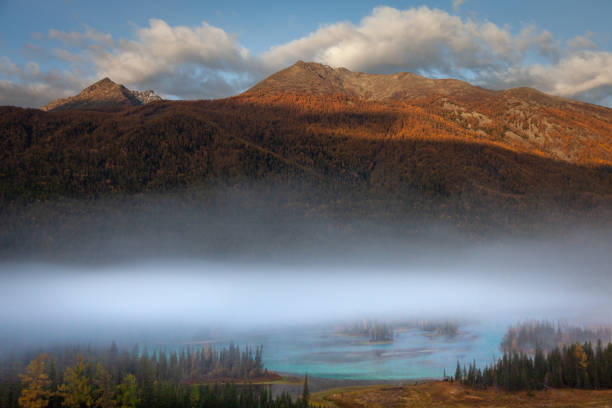 View from Vermillion Lakes at dawn in Banff National Park in the Canadian Rockies