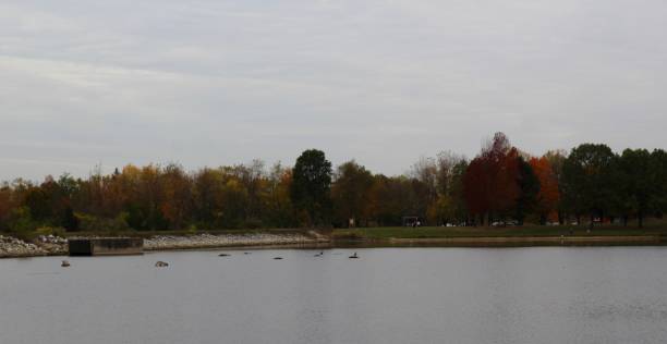 istock Overcast Cloudy Day at the Lake 1194080706