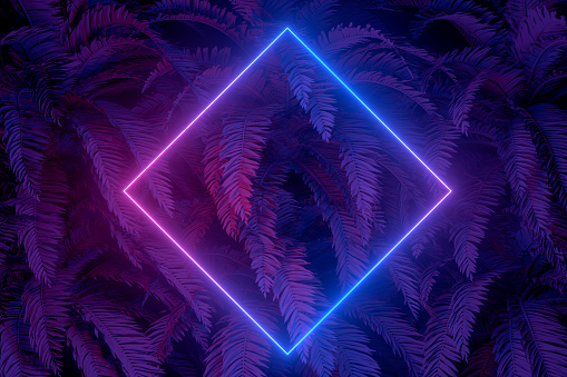 3d rendering of abstract background with ultraviolet neon lights, empty frame, glowing lines with palm tree. Purple, blue  and blue colors.