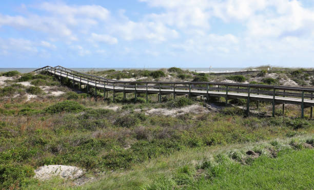 istock Amelia Island beach Boardwalk 1194091091