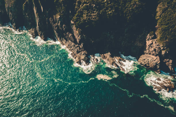 istock Hong Kong nature scene 1194092801