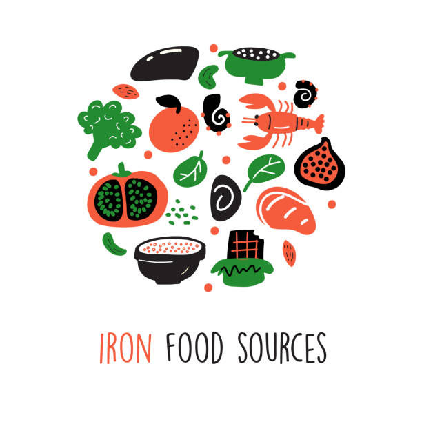 ilustrações de stock, clip art, desenhos animados e ícones de iron food sources. vector cartoon illustration of iron rich foods round composition. - espinafres