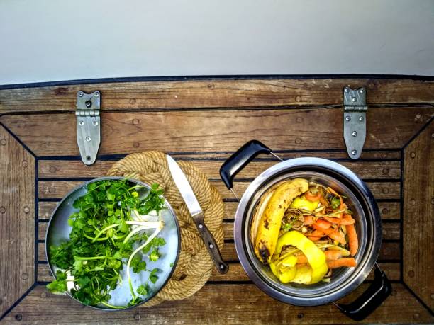 Anyone Can Compost in the Kitchen