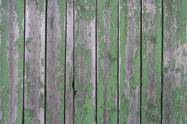 Shabby Wood Background. Fence green