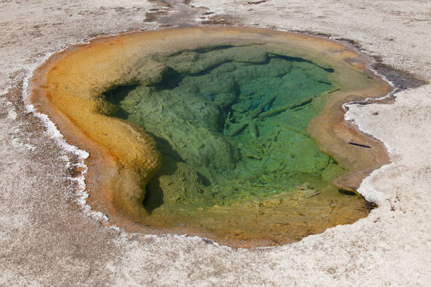 istock Yellowstone National Park 1194101329